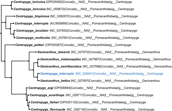 FIGURE 3