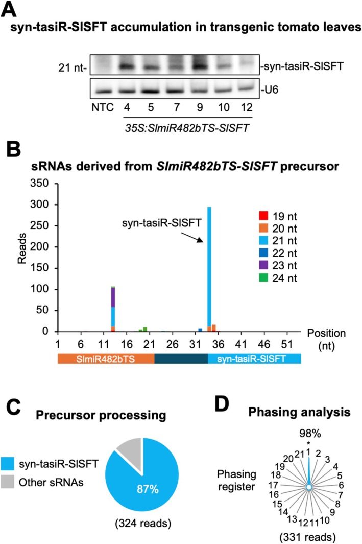 FIGURE 4