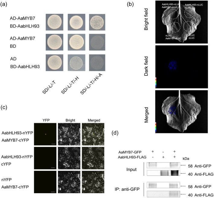 FIGURE 3