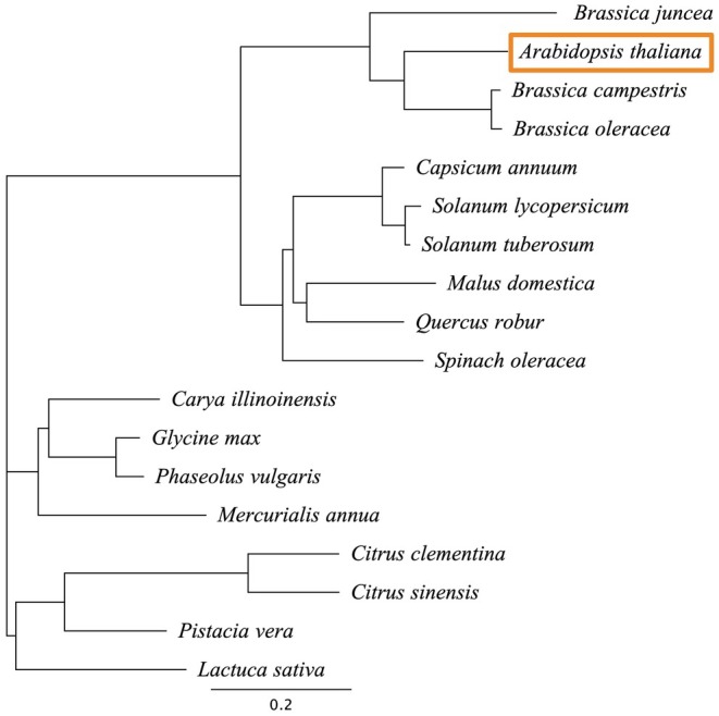FIGURE 3