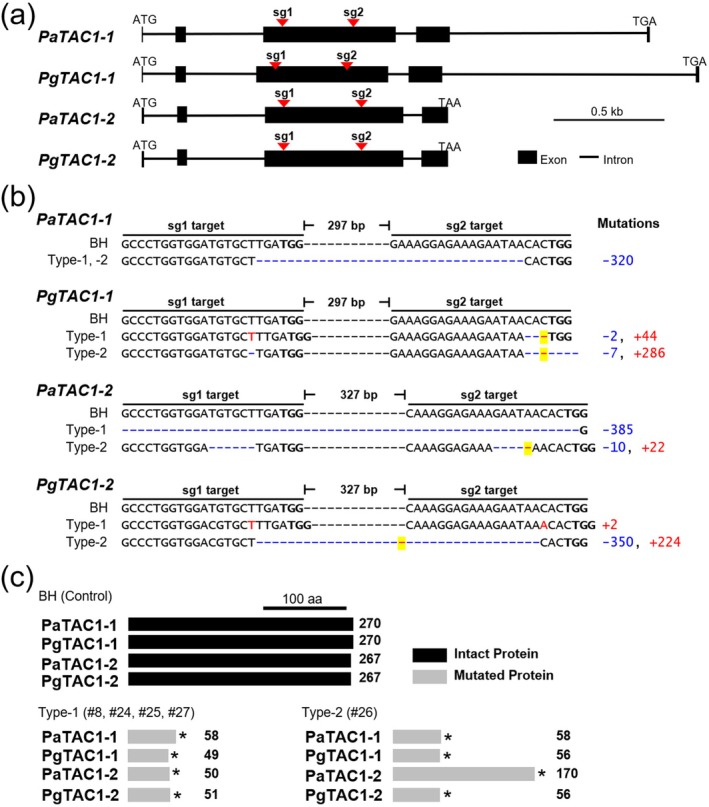 FIGURE 2
