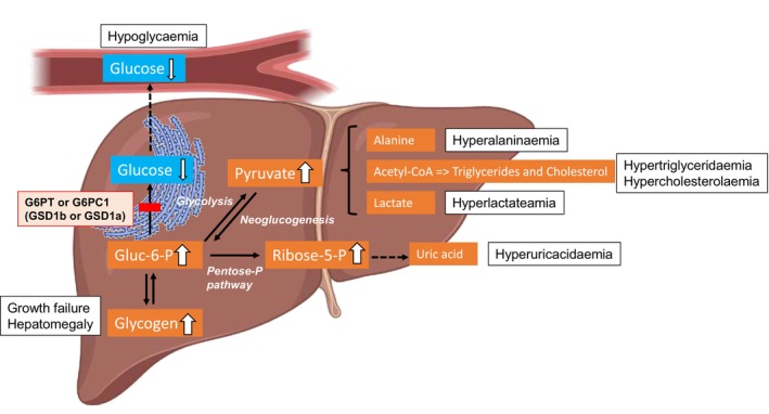 FIGURE 1