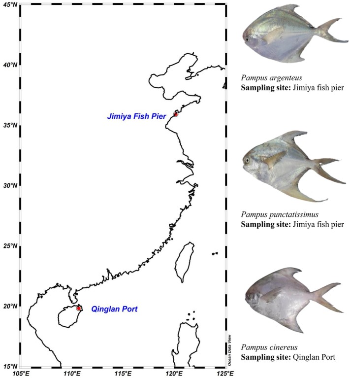 FIGURE 1