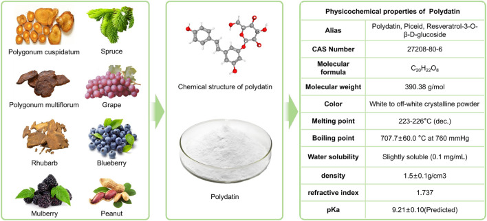 FIGURE 1