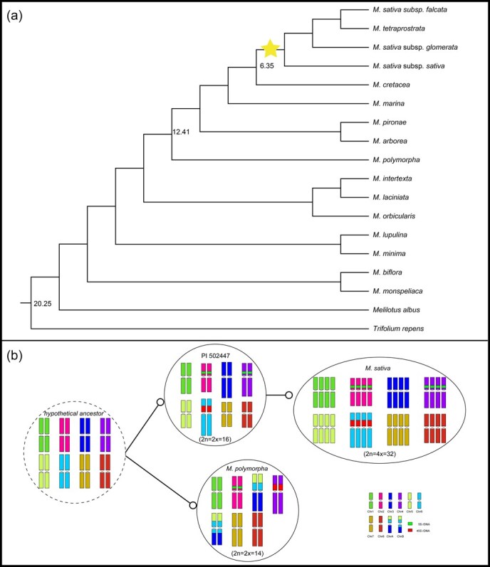 Figure 7