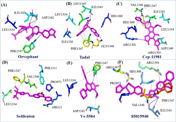 Figure 5