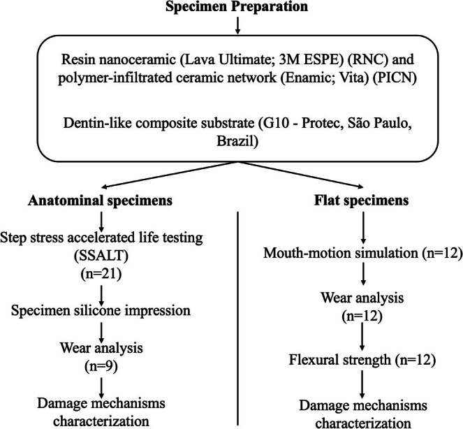 FIGURE 1