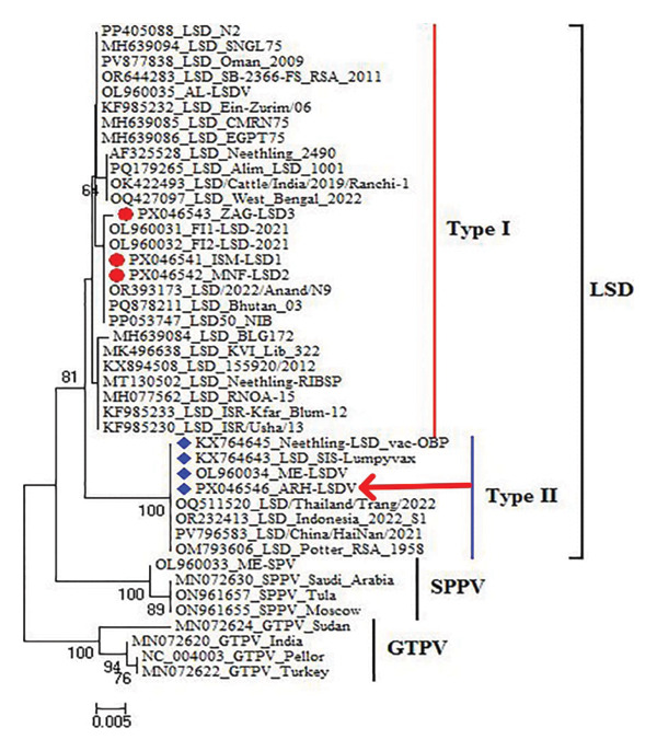 FIGURE 6