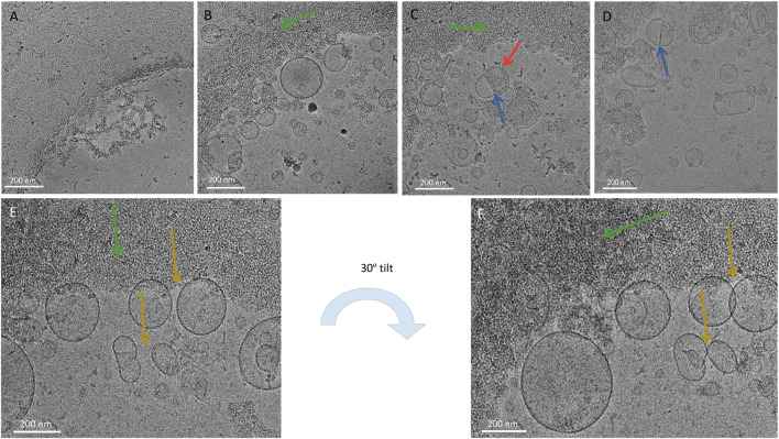 FIGURE 3