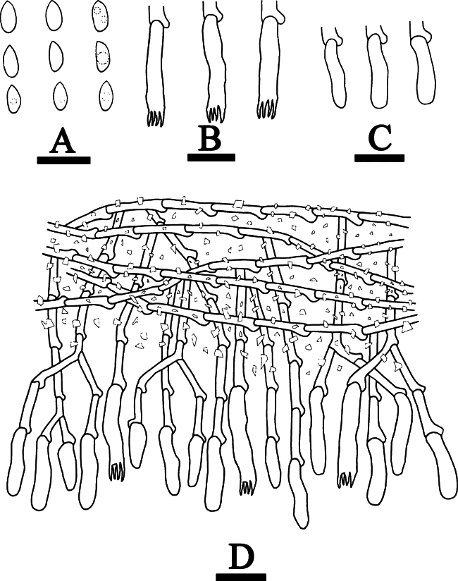 Figure 9