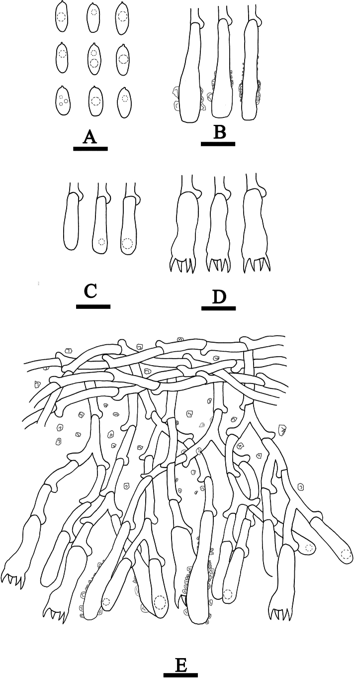 Figure 13