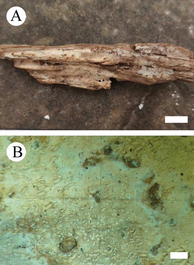 Figure 14