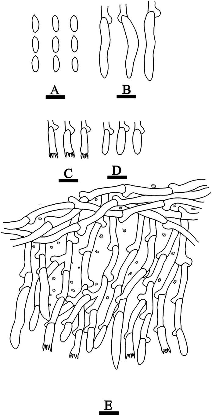 Figure 15