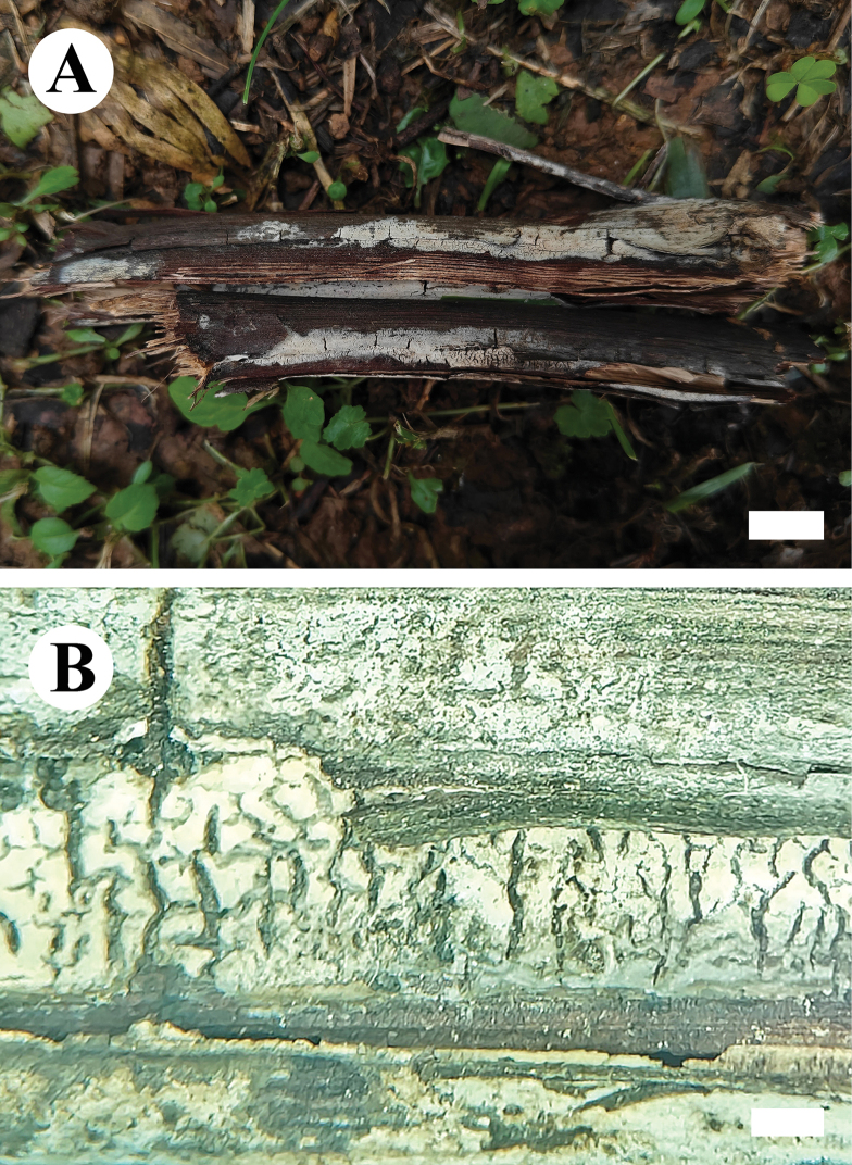 Figure 16