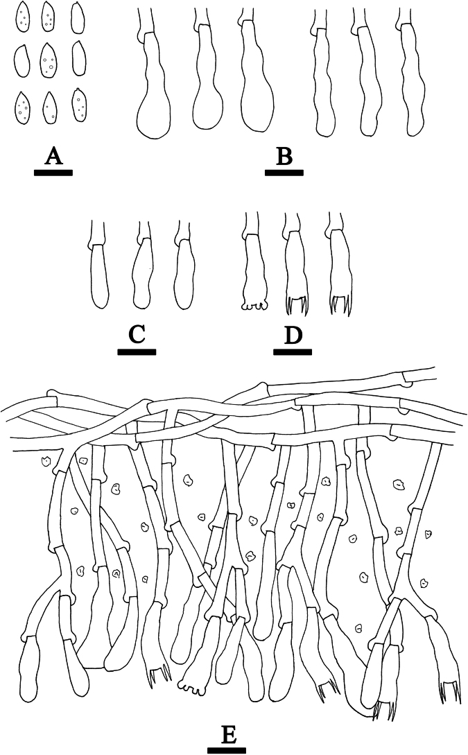 Figure 17
