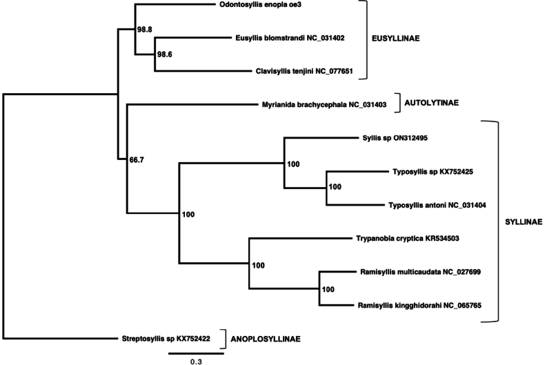 Figure 6