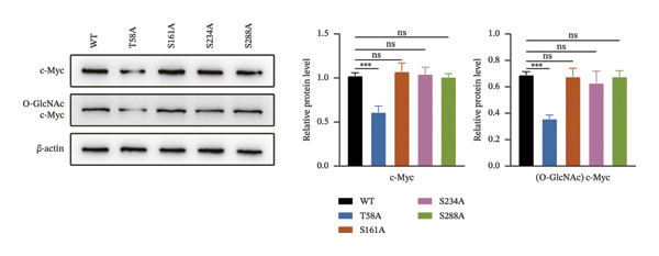 Figure 19