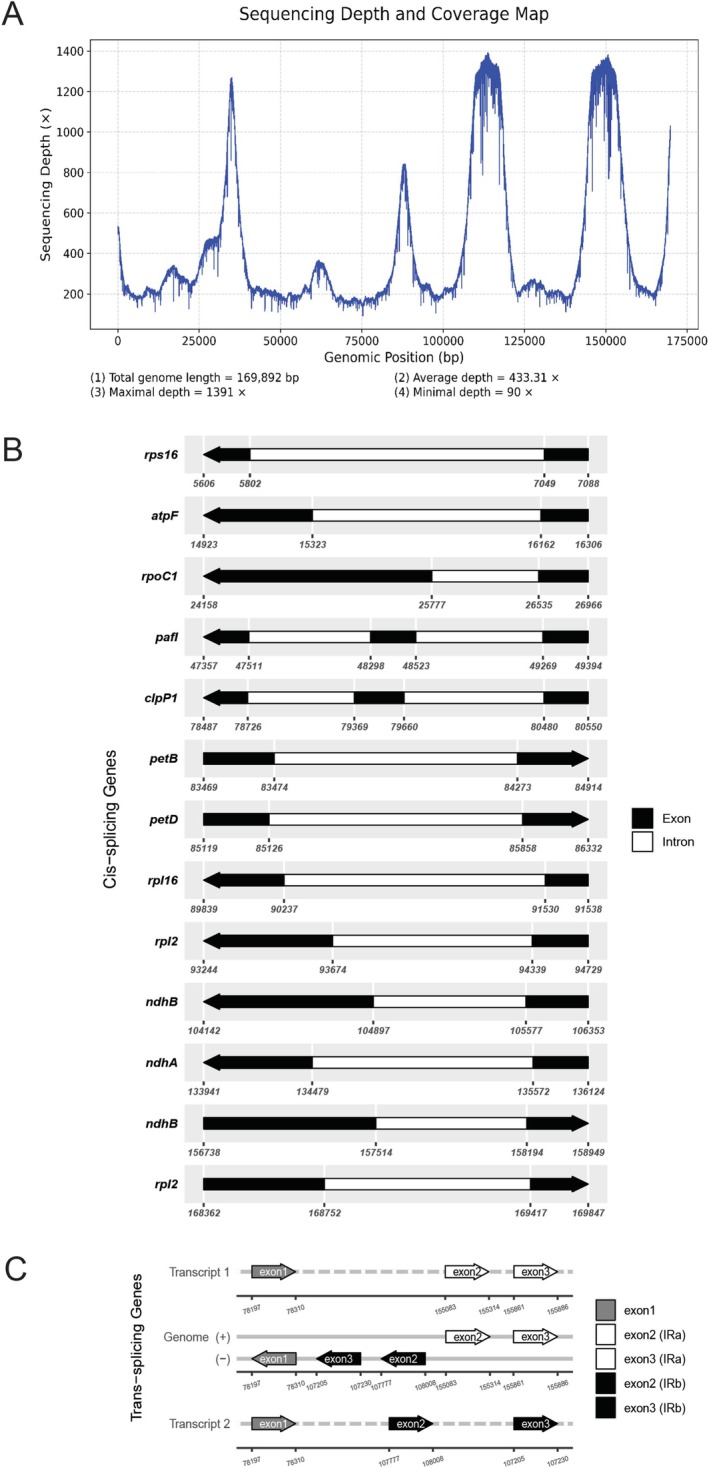 FIGURE 3