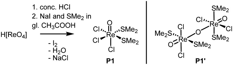 Scheme 1