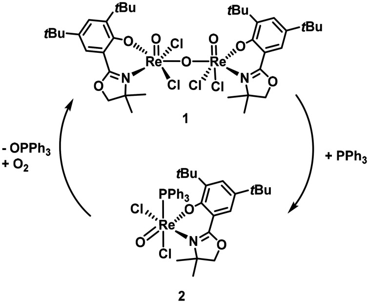 Scheme 4