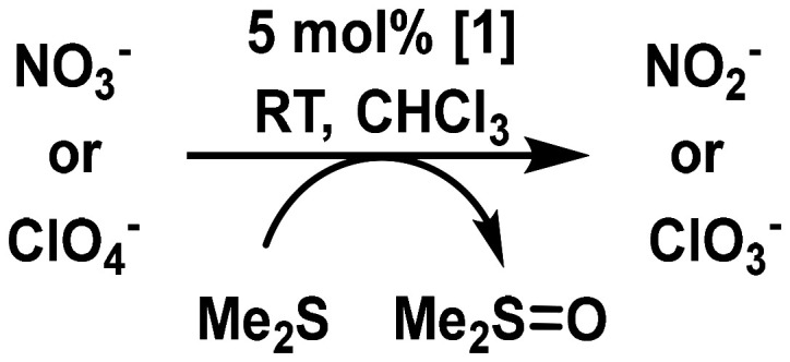 Scheme 5