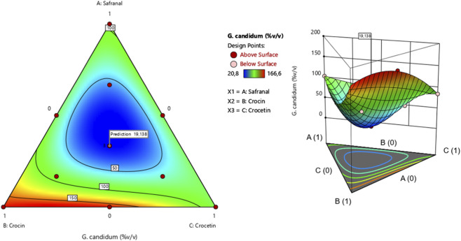 FIGURE 11