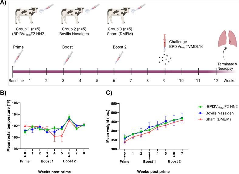 Figure 6