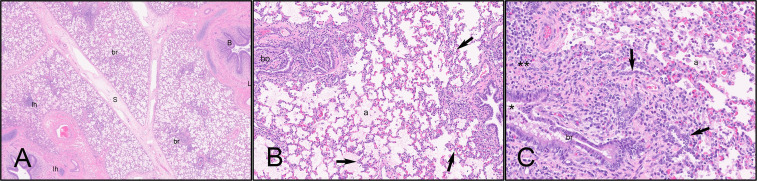 Figure 13
