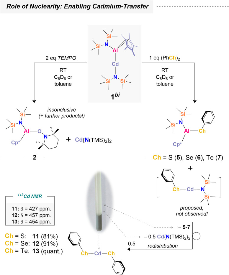 Scheme 5
