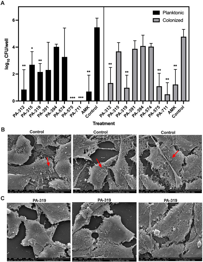 Figure 6