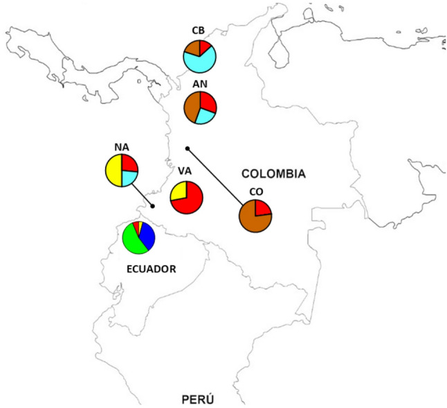 Figure 5