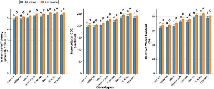 Figure 13