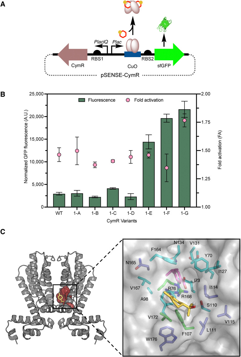 Fig. 2