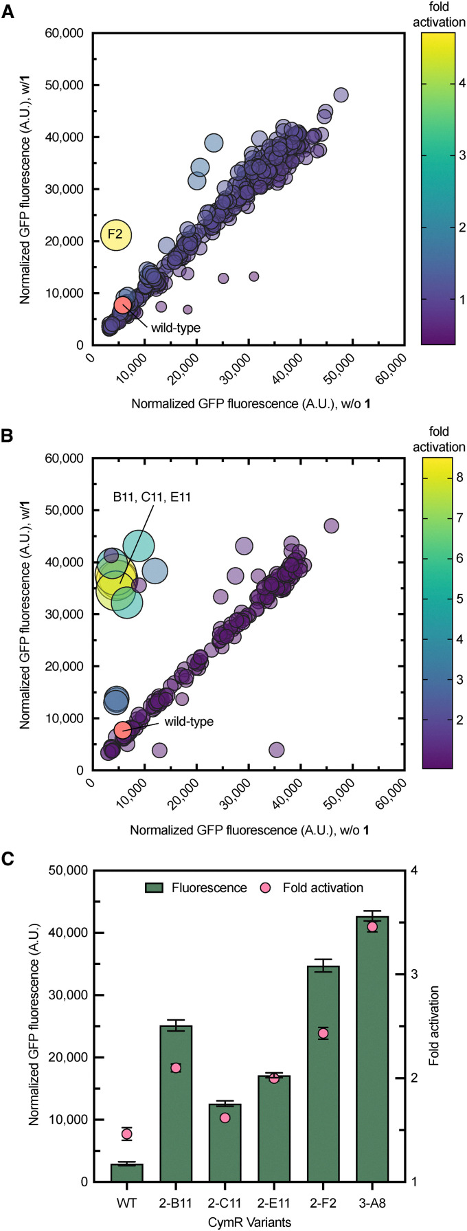 Fig. 3