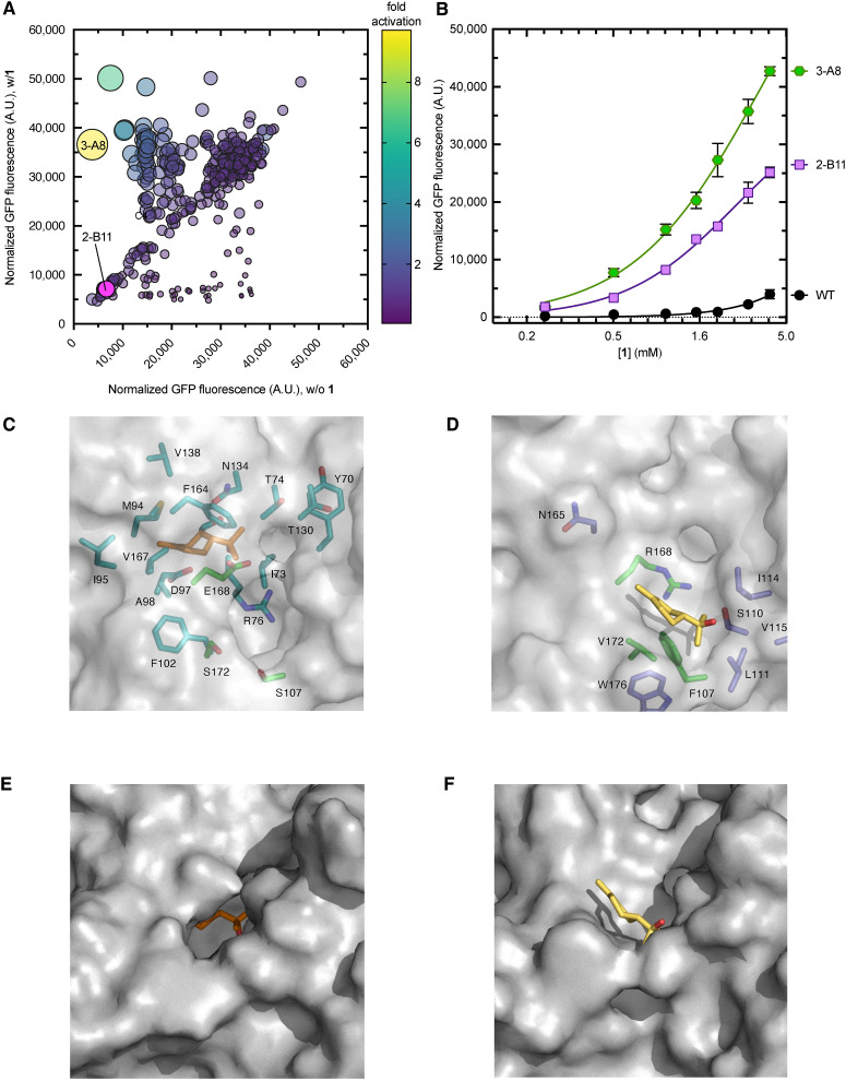 Fig. 4
