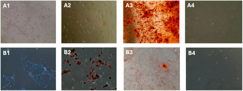 Fig 4