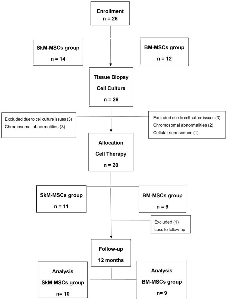 Fig 5