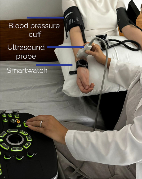 Fig 1
