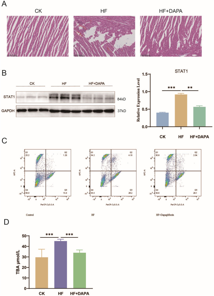 Fig 10