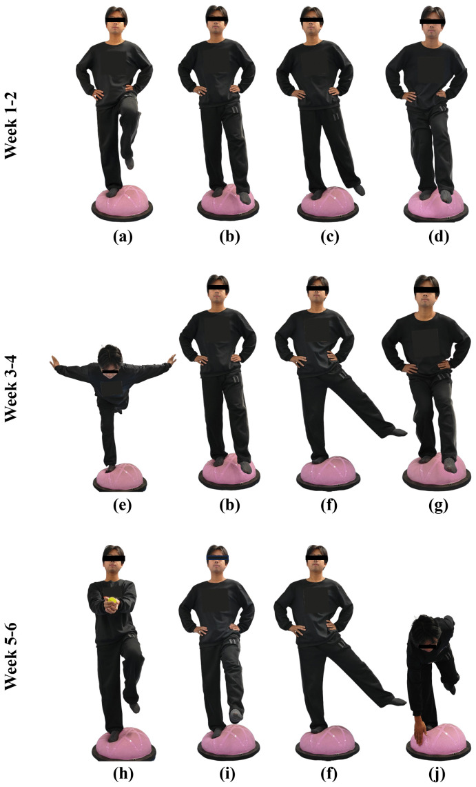 Fig 2