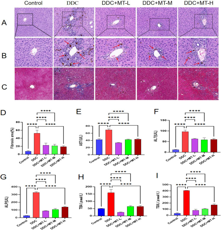 Fig 8