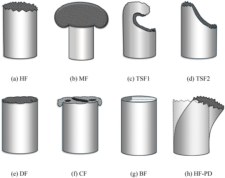 Fig 6