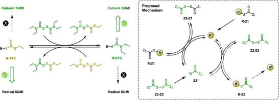 FIGURE 24