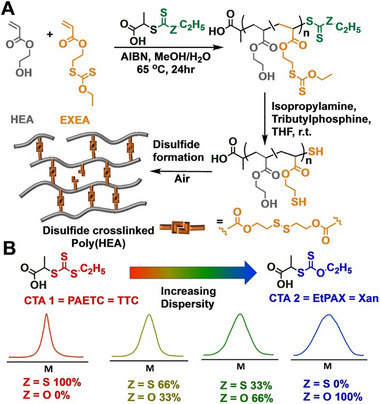 FIGURE 20