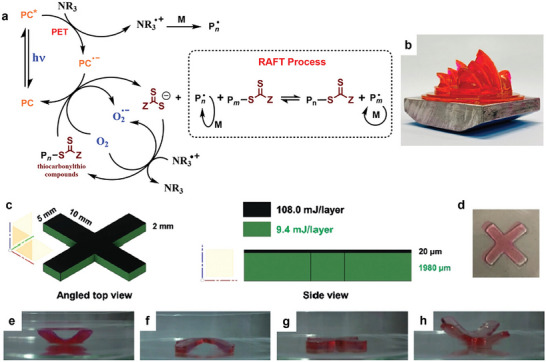 FIGURE 22