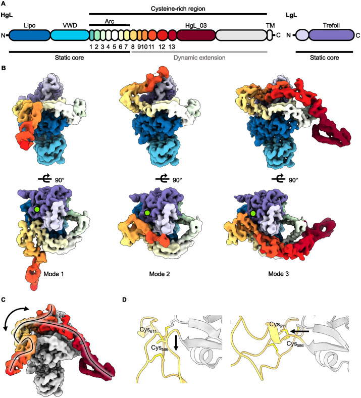 Fig 4