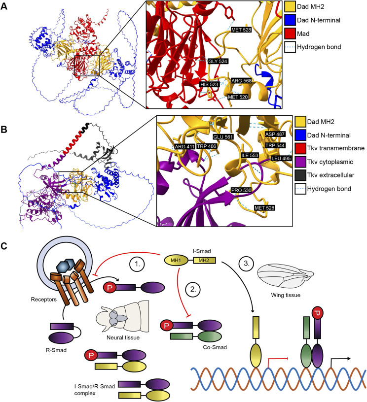 Figure 7