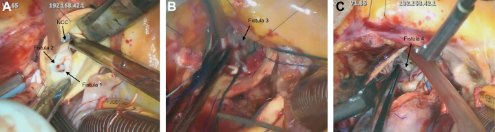Figure 7