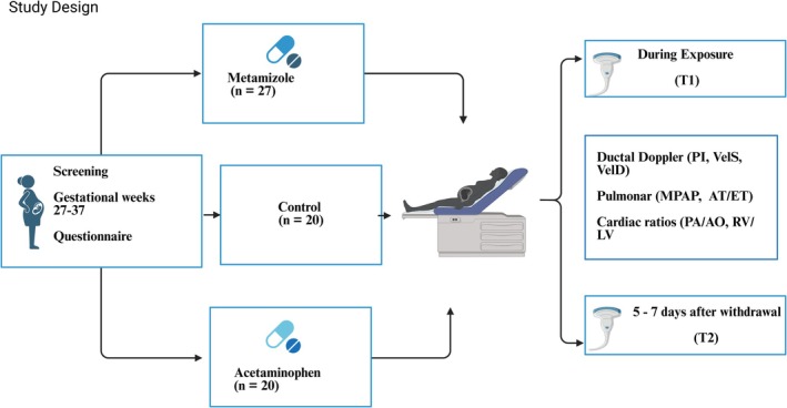 FIGURE 1