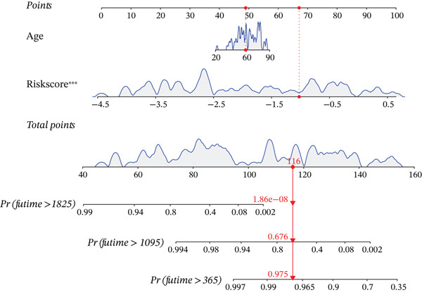 Figure 19